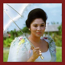 Review of Here Lies Love