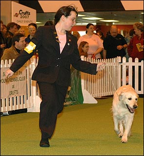 Courtesy of The Kennel Club