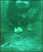 Underwater at Whitsand Bay