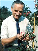 Percy Thrower with his beloved fuschias