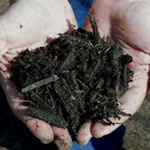 Mulch