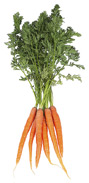 Carrots