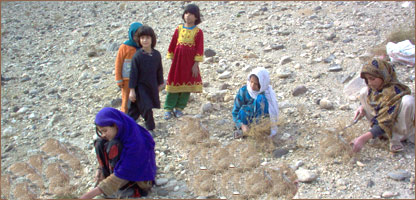 نجونې چې خس وهي