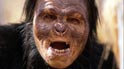 An Ape-Man