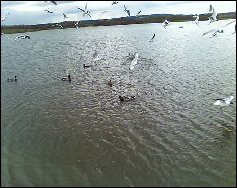 Pugneys Country Park