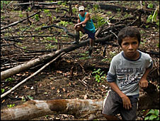 Burned land in the Amazon rainforest