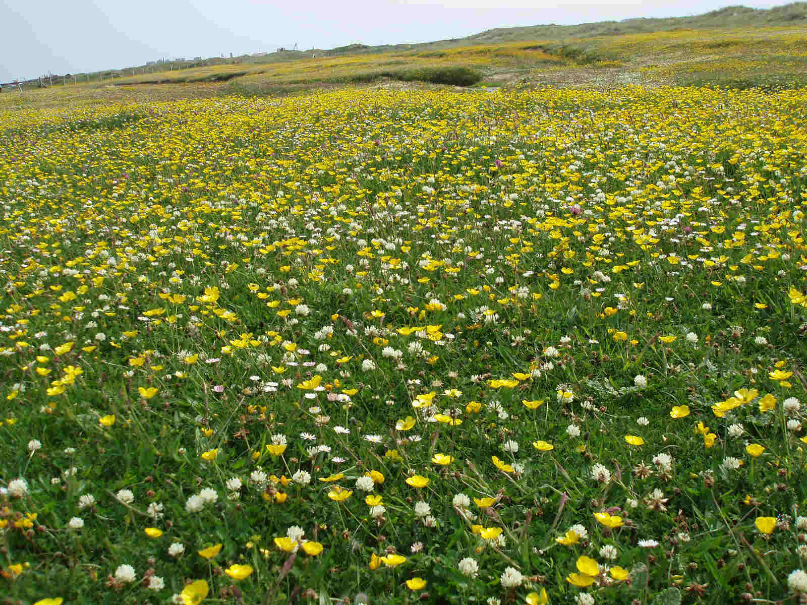 Sorry about the angle