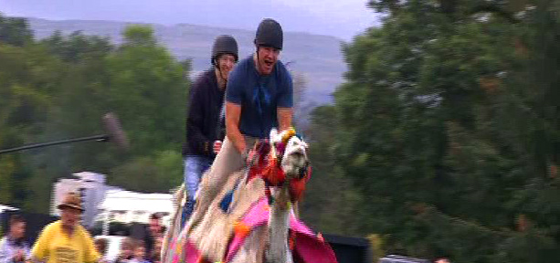 Steve Backshall and Andy Murray racing on camels