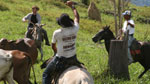 Cowboys in Altamira herding their cattle