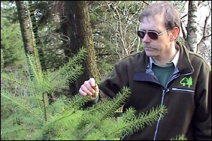 Gareth amongst the trees