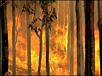  Cháy rừng tại Úc