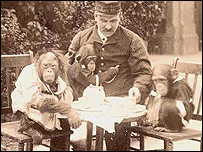An ape tea party at Belle Vue in 1920