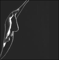 دهکده يی روشنايی