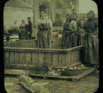Fisherwomen at Stornoway harbour