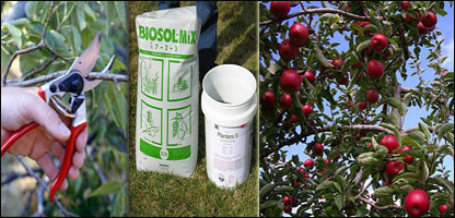 دمڼوشاخبري اوکيمياوي سره ورکول