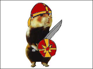 A hamster dressed as a soldier 