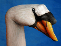 Cisne. Foto: SIPA Press / REX Features