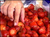 Strawberries