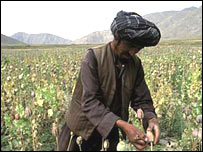 अफ़ग़ानिस्तान