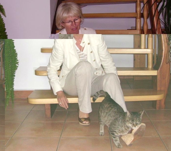 mum playing with one of our cats