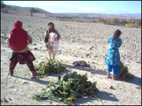 نجونې چې خس وړي