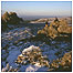 Devil's Chair Stiperstones c/o Shropshire Wildlife Trust and Ben Osborne
