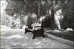 عليرضا پناهی