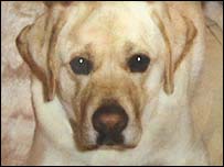 The original Lancelot