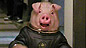 The Space Pig