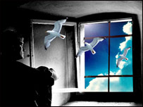 در مورد رمان نويسی