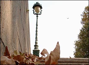 عکس از کاوه بغدادچی