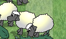 Sheep dash!