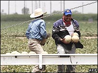 अमरीकी कामगार