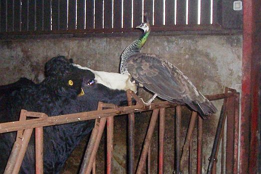 You smell...like...a...uh...something I