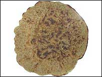 Staffordshire oatcake