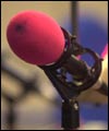 Microphone