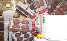 Egg spinning machine