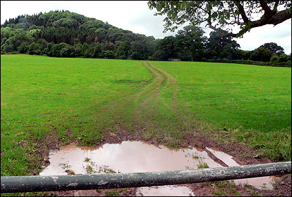The field at Canon Pyon