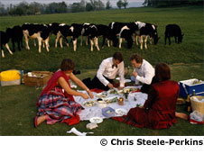 Picnic at Glyndebourne Opera, 1988