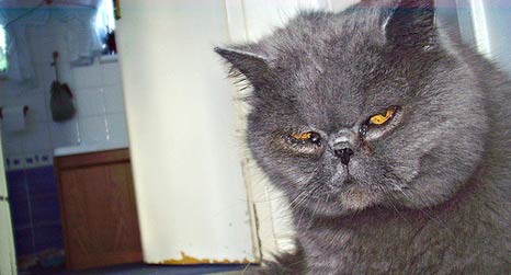 Image from our Flickr group