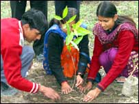 पौधा रोपते लोग