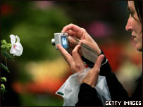 切尔西花展参观者