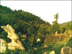 عکس از سید وحید حسینی