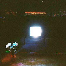 Review of Does it Look Like I’m Here?