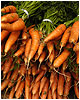 carrots