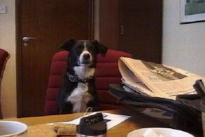 Sara has an unusual P.A. 