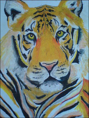 Tiger face- oil pastels