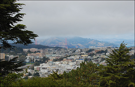 San Francisco nhìn từ công viên Bueno Vista