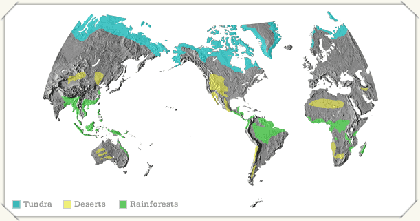 Relief map of the world