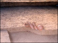 खनन में मिले मिट्टी के बरतन